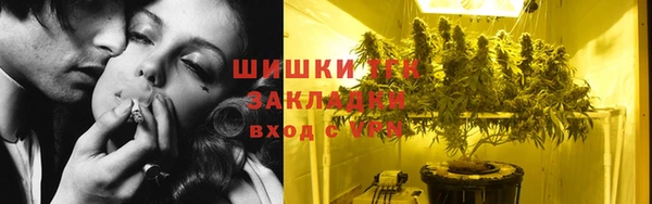 тгк Аркадак