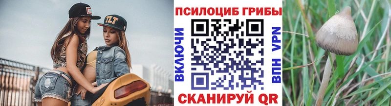 Галлюциногенные грибы мицелий  наркота  Снежинск 